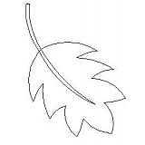 leaf single 003